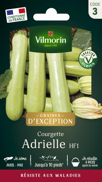 Potagères - Courgette Adrielle HF1 - Graines d'Exception - face recto